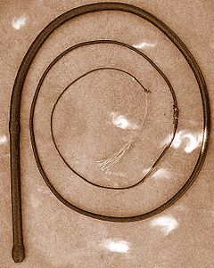 fouet-singletail-bdsm