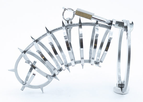 cage-chasteté-métal-picots-externes-bdsm